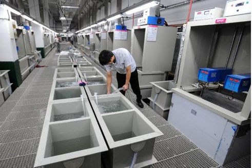 anodizing